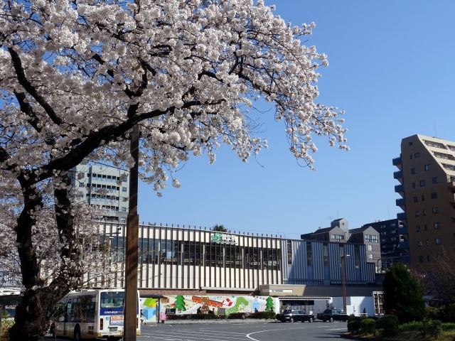 国立市の遺品整理・買取ならグリーンズ