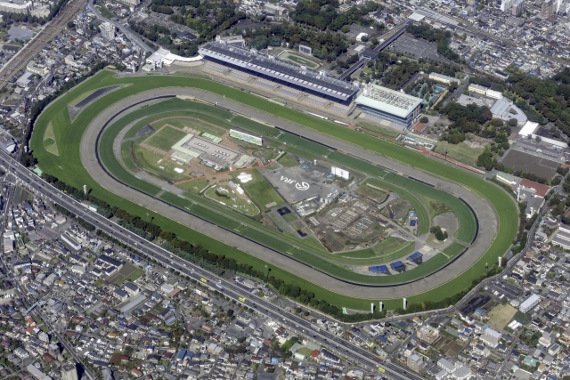 府中市の遺品整理・買取ならグリーンズ